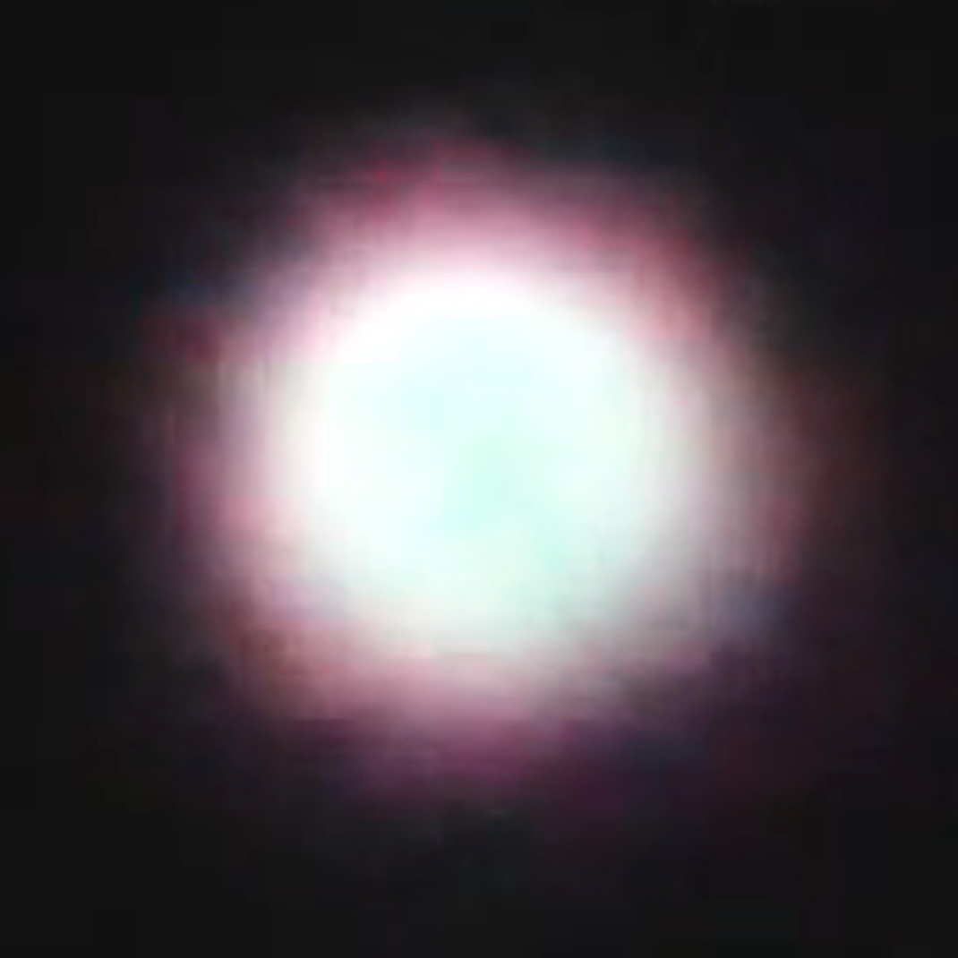 Sternwebseite